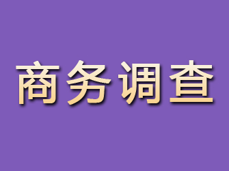 珠海商务调查